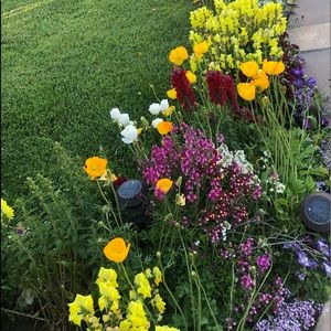 Meet your Posher, Jocelyn